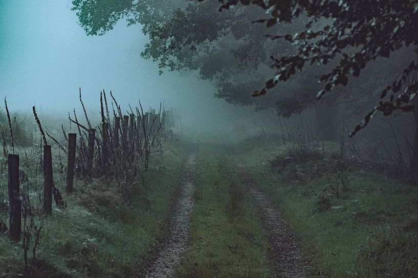 Chemin brumeux le matin par Yuri Verweij