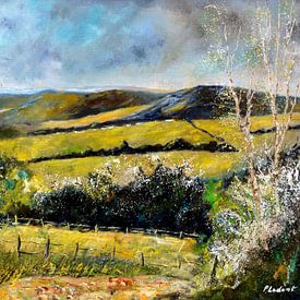 Spring in my countryside by pol ledent