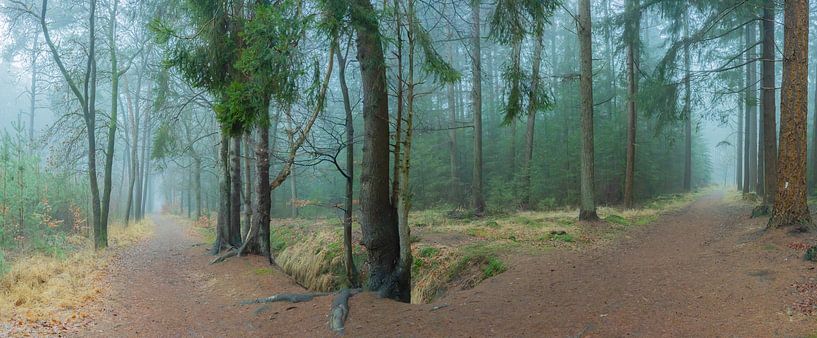 Brouillard d'automne sur la Zandlaan à Beetsterzwaag Opsterland Friesland par Ad Huijben