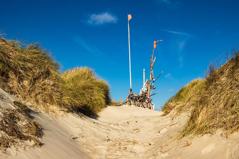 Landschaft mit Dünen auf der Insel Amrum von Rico Ködder