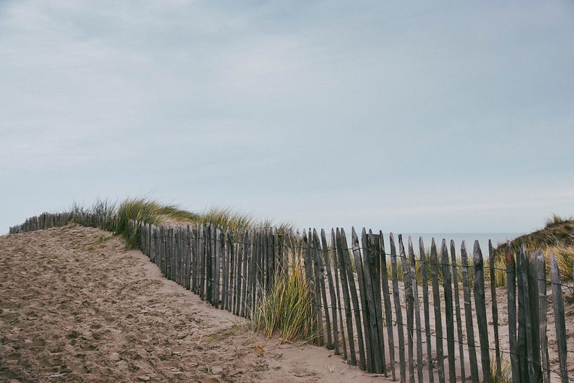 Beach Road by Driek Steegmans