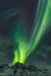Nordlichter, Aurora Borealis über den Lofoten in Norwegen