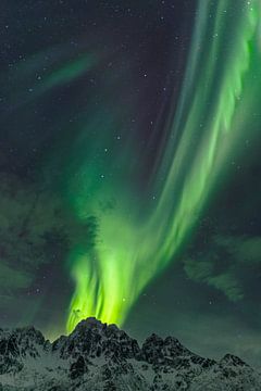 Noorderlicht, Aurora Borealis boven de Lofoten-eilanden in Noorwegen van Sjoerd van der Wal Fotografie