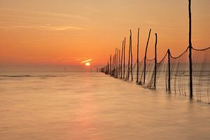 Visnetten bij zonsopkomst von John Leeninga