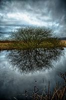 Winter in Nederland