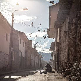 Stilleben in Peru von Mark Thurman