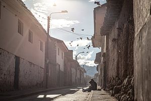 Stilleven in Peru van Mark Thurman