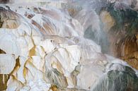 Mammoth Hot Springs im Winter, UNESCO-Welterbe van wunderbare Erde thumbnail