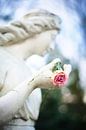 Angel with rose by André Bouterse thumbnail