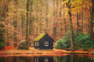 Sous les étoiles d'automne sur Yen Do