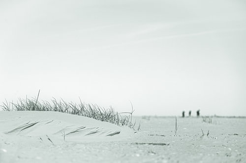 Strand, zandduin en wandelaars