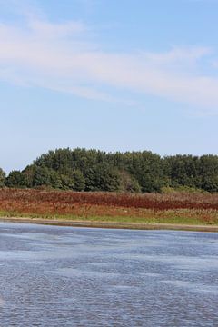 Oostvaardersplassen.