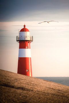 Crossfire (lighthouse the Noorderhoofd, Westkapelle) by Thom Brouwer