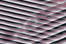 Plaques convergentes — Rose sur BVDART