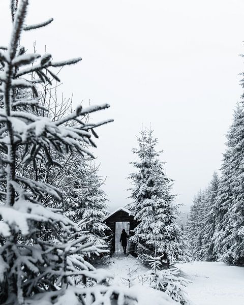 Kalte Hütte von Max Müller