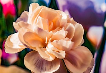 Kleurrijke kunstige bloem van Jolanda de Jong-Jansen