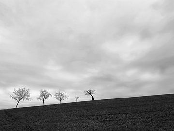 we are familiy von Bernd Döbel