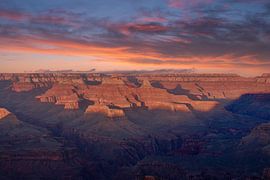 Von Licht geschnitzt von Laura Krol
