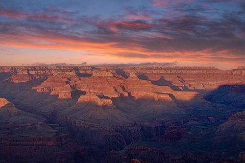 Carved by Light van Laura Krol