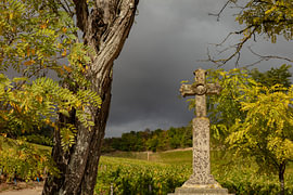 Kruis in the Champagne region of the Aube by anne droogsma