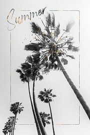 Palm Trees Impression | Summer by Melanie Viola