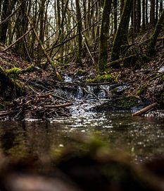 streamlet in the Belgian Ardennes by Nathan Avengazar