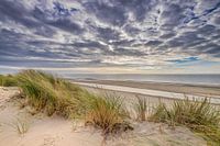 Het strand en de duinen op Ameland