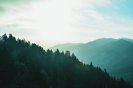 Sonnige Berge