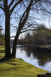 Amsterdam Wasserversorgung Dünen