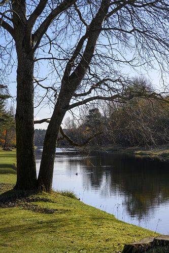 Amsterdamse waterleidingduinen