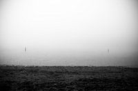 Meertje in de mist
