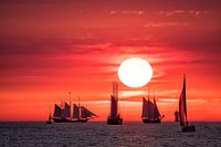 Sailing ships on the Hanse Sail