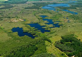 De Peel ist ein Hochmoorgebiet an der Grenze zwischen Limburg und Brabant. von Sky Pictures Fotografie