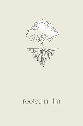 Rooted in Jesus (Colossians 2:6-7)
