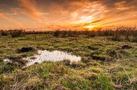 Polder in avondrood van Richard Janssen thumbnail