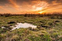 Polder in avondrood