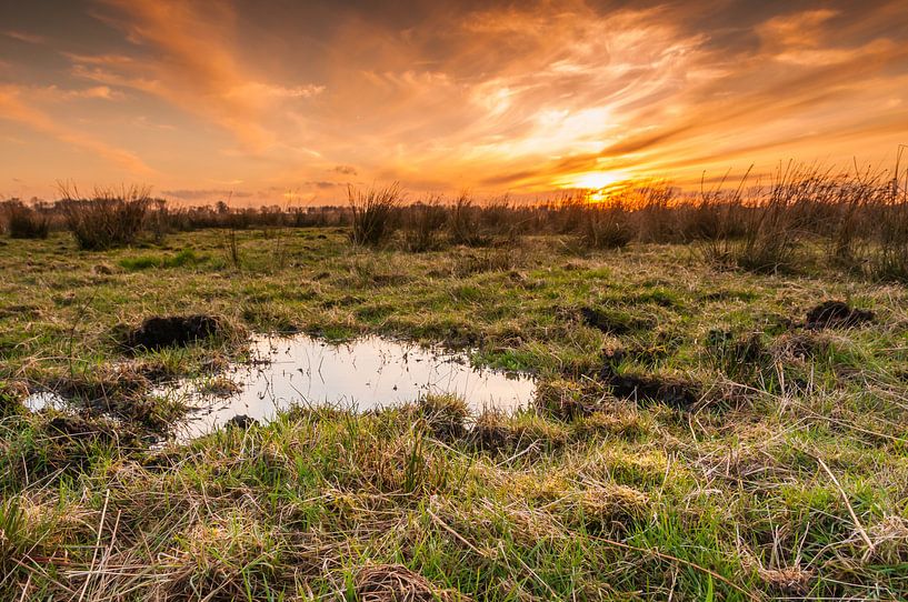 Polder in avondrood van Richard Janssen