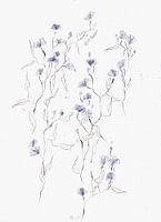 FLOWERWILD BLUES