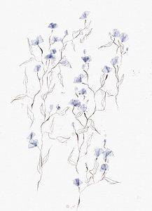 Flowerwild Blues