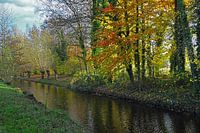 Herfstkleuren.