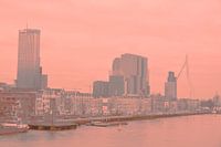Rotterdam - Erasmusbrug en omgeving - in grijs-zalm tinten