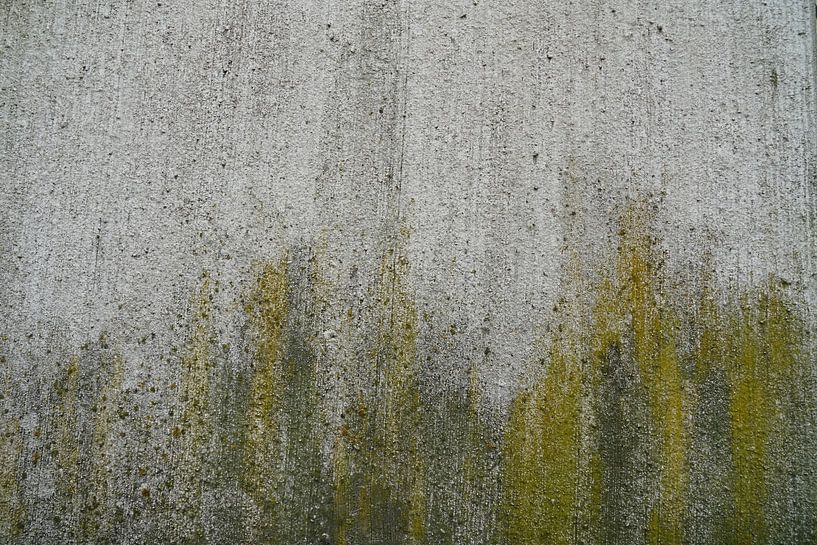 Fantasy forest by Herman Peters