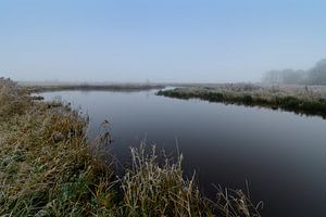 Drentsche Aa im Winternebel