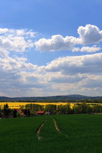 Lusatian landscape