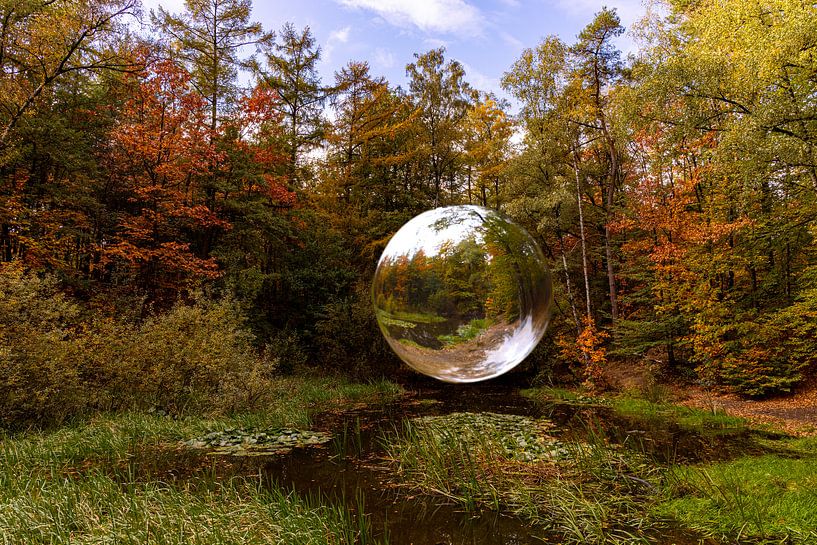 Boule de cristal flottante dans une forêt aux couleurs de l'automne par RVR Fotografie