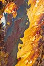 Détail abstrait comme une peinture de rouille en jaune ocre et brun par Marianne van der Zee Aperçu
