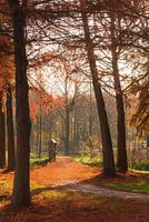 L'automne au Maximapark