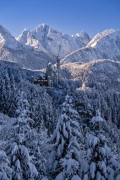 Kasteel Neuschwanstein in de winter van Achim Thomae