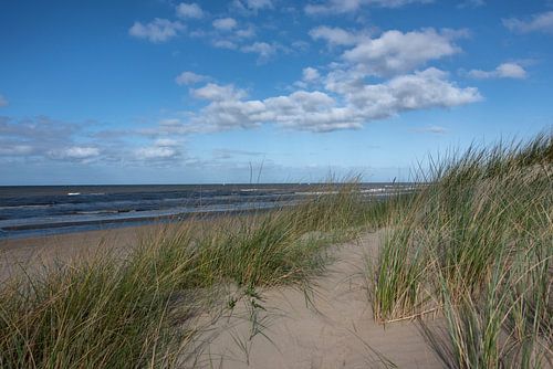 Strand van Noordwijk