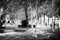 Chilling out in the Charles Eyck Park in Maastricht by Streets of Maastricht thumbnail